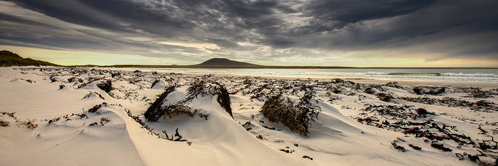 PEBBLE ISLAND beach, Falkland Islands